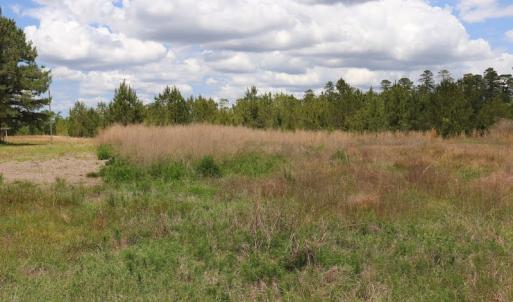 Photo #15 of SOLD property in Off Rosindale Road, Council, NC 32.7 acres