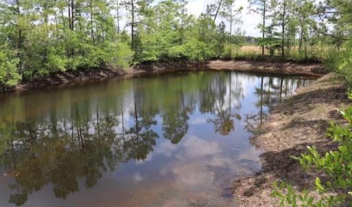 Photo #18 of SOLD property in Off Rosindale Road, Council, NC 32.7 acres