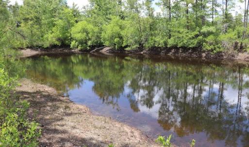 Photo #19 of SOLD property in Off Rosindale Road, Council, NC 32.7 acres