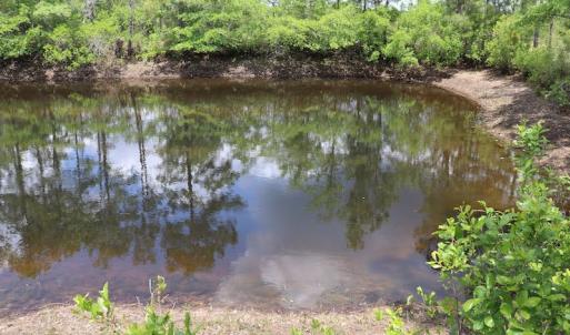 Photo #20 of SOLD property in Off Rosindale Road, Council, NC 32.7 acres