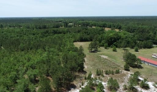 Photo #24 of SOLD property in Off Rosindale Road, Council, NC 32.7 acres