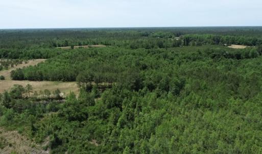 Photo #25 of SOLD property in Off Rosindale Road, Council, NC 32.7 acres
