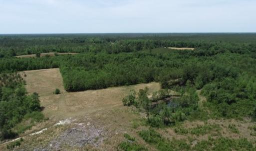 Photo #26 of SOLD property in Off Rosindale Road, Council, NC 32.7 acres