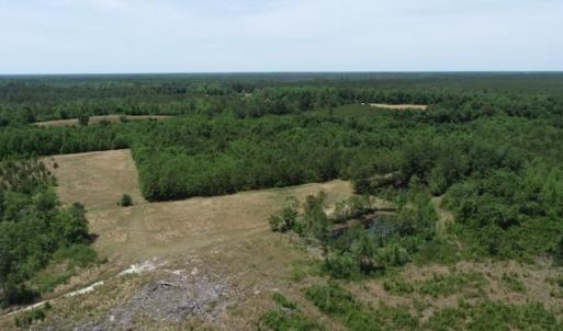 Photo #26 of SOLD property in Off Rosindale Road, Council, NC 32.7 acres