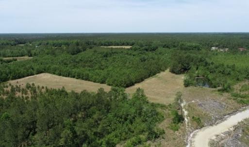 Photo #27 of SOLD property in Off Rosindale Road, Council, NC 32.7 acres