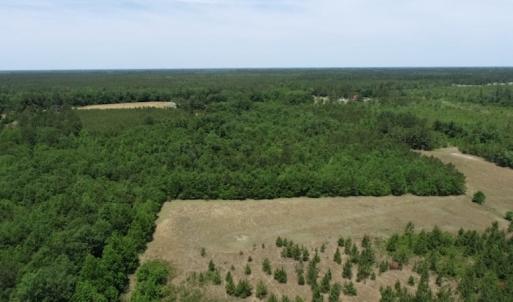 Photo #28 of SOLD property in Off Rosindale Road, Council, NC 32.7 acres