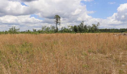 Photo #3 of SOLD property in Off Rosindale Road, Council, NC 32.7 acres