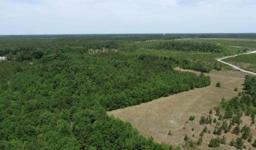 Photo #29 of SOLD property in Off Rosindale Road, Council, NC 32.7 acres