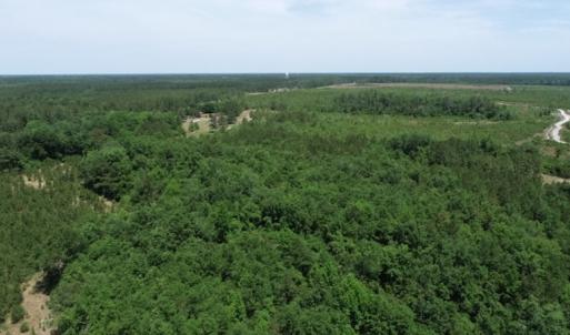 Photo #30 of SOLD property in Off Rosindale Road, Council, NC 32.7 acres