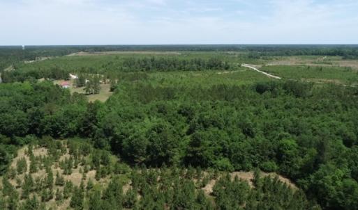 Photo #31 of SOLD property in Off Rosindale Road, Council, NC 32.7 acres