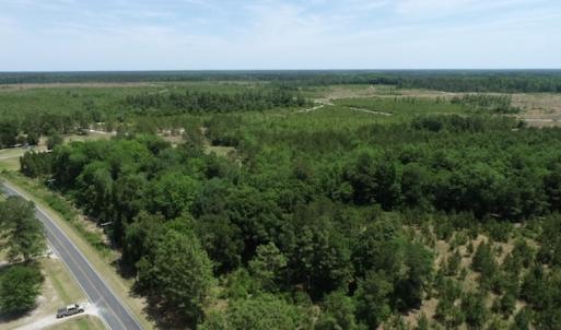 Photo #32 of SOLD property in Off Rosindale Road, Council, NC 32.7 acres