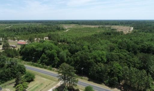 Photo #33 of SOLD property in Off Rosindale Road, Council, NC 32.7 acres