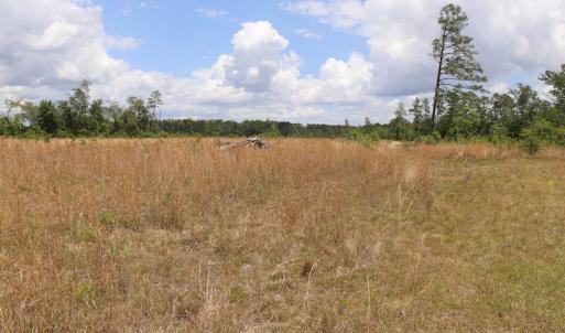 Photo #4 of SOLD property in Off Rosindale Road, Council, NC 32.7 acres