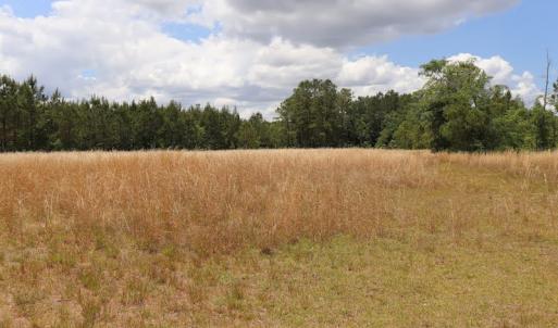 Photo #5 of SOLD property in Off Rosindale Road, Council, NC 32.7 acres