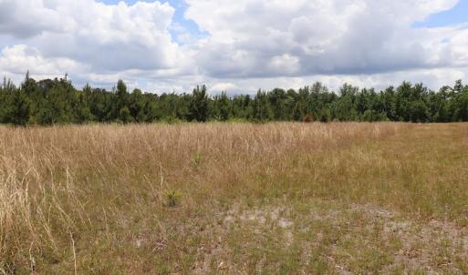 Photo #8 of SOLD property in Off Rosindale Road, Council, NC 32.7 acres