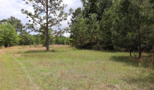 Photo #9 of SOLD property in Off Rosindale Road, Council, NC 32.7 acres