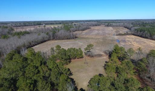 Photo #2 of SOLD property in Mill Branch Rd, Fairmont, NC 107.5 acres