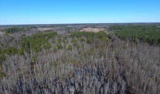 Photo #11 of SOLD property in Mill Branch Rd, Fairmont, NC 107.5 acres