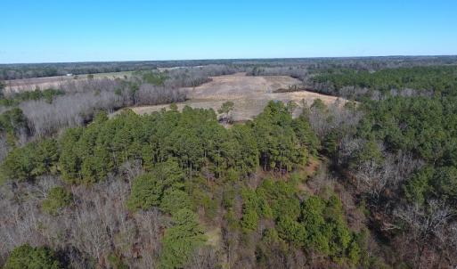 Photo #12 of SOLD property in Mill Branch Rd, Fairmont, NC 107.5 acres