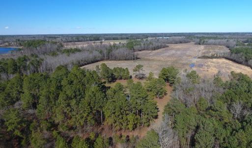 Photo #14 of SOLD property in Mill Branch Rd, Fairmont, NC 107.5 acres