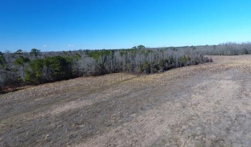 Photo #15 of SOLD property in Mill Branch Rd, Fairmont, NC 107.5 acres