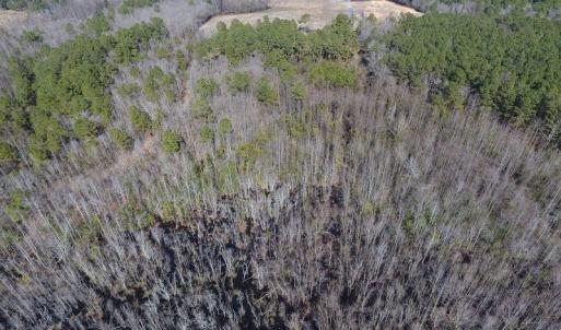 Photo #16 of SOLD property in Mill Branch Rd, Fairmont, NC 107.5 acres