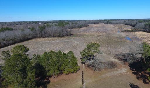Photo #3 of SOLD property in Mill Branch Rd, Fairmont, NC 107.5 acres