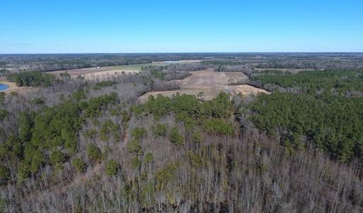 Photo #4 of SOLD property in Mill Branch Rd, Fairmont, NC 107.5 acres