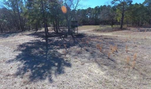 Photo #5 of SOLD property in Mill Branch Rd, Fairmont, NC 107.5 acres