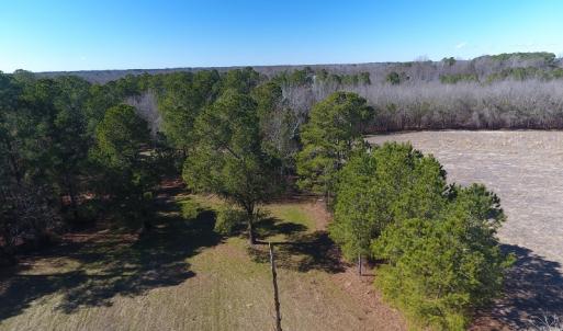 Photo #6 of SOLD property in Mill Branch Rd, Fairmont, NC 107.5 acres