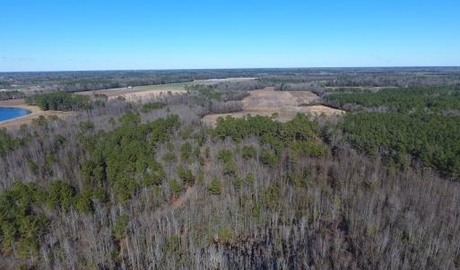 Photo #7 of SOLD property in Mill Branch Rd, Fairmont, NC 107.5 acres