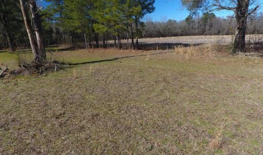 Photo #8 of SOLD property in Mill Branch Rd, Fairmont, NC 107.5 acres