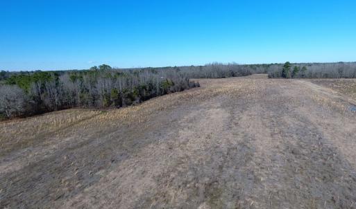 Photo #9 of SOLD property in Mill Branch Rd, Fairmont, NC 107.5 acres