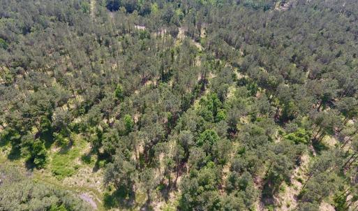 Photo #16 of Off Highway 70, La Grange, NC 66.6 acres