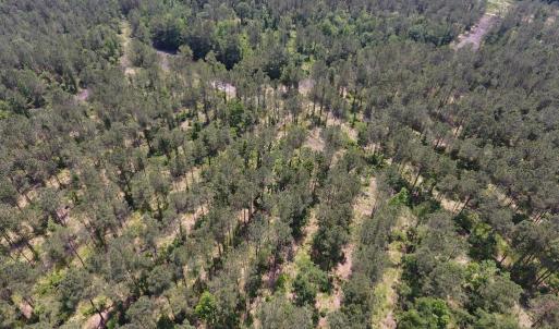 Photo #17 of Off Highway 70, La Grange, NC 66.6 acres