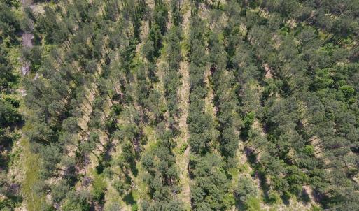 Photo #18 of Off Highway 70, La Grange, NC 66.6 acres