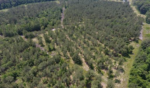 Photo #19 of Off Highway 70, La Grange, NC 66.6 acres