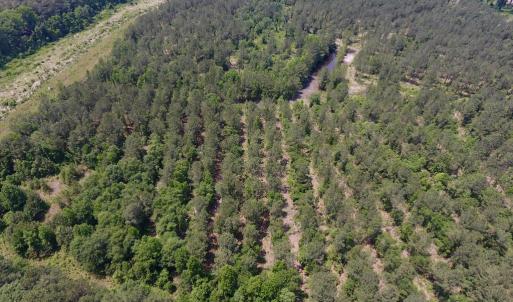 Photo #21 of Off Highway 70, La Grange, NC 66.6 acres