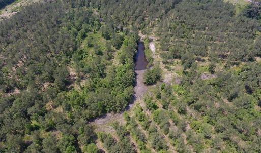 Photo #22 of Off Highway 70, La Grange, NC 66.6 acres