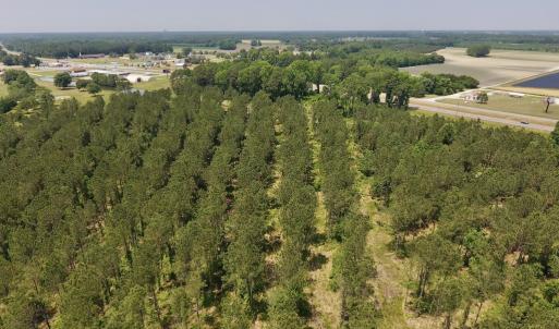 Photo #25 of Off Highway 70, La Grange, NC 66.6 acres