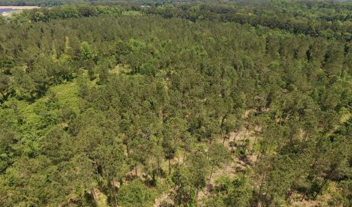 Photo #35 of Off Highway 70, La Grange, NC 66.6 acres