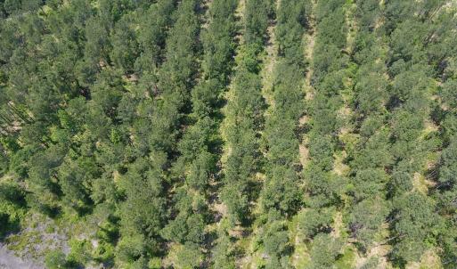 Photo #37 of Off Highway 70, La Grange, NC 66.6 acres