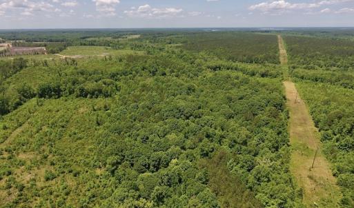 Photo #8 of SOLD property in Off Burchette Road, Manson, NC 19.2 acres