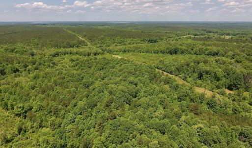 Photo #10 of SOLD property in Off Burchette Road, Manson, NC 19.2 acres