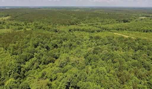 Photo #11 of SOLD property in Off Burchette Road, Manson, NC 19.2 acres