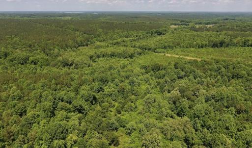 Photo #12 of SOLD property in Off Burchette Road, Manson, NC 19.2 acres
