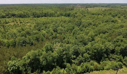 Photo #13 of SOLD property in Off Burchette Road, Manson, NC 19.2 acres