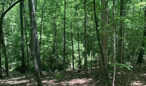 Photo #19 of SOLD property in Off Burchette Road, Manson, NC 19.2 acres