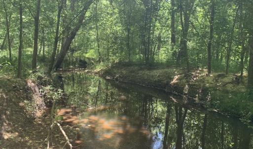 Photo #22 of SOLD property in Off Burchette Road, Manson, NC 19.2 acres