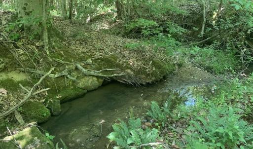 Photo #23 of SOLD property in Off Burchette Road, Manson, NC 19.2 acres